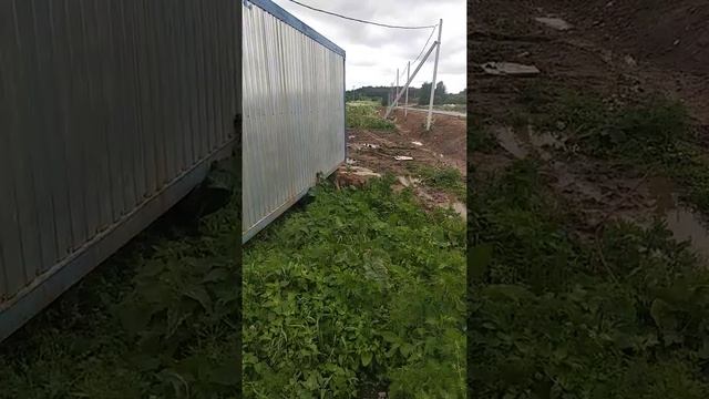 Без страшный лис (лиса) смотреть онлайн