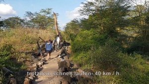 Сафари в Кении. Национальный парк TSAVO
