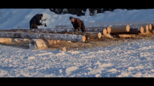 Дом из Бревна Ручной Рубки в Русскую Чашку. Заготовка Бревен для Сруба. СК Моя усадьба