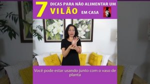 7 DICAS PARA CURAR SEU BANHEIRO FENG SHUI