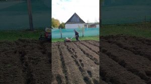культиватор (штэнли) shtenli 1030, обработка почвы фрезами