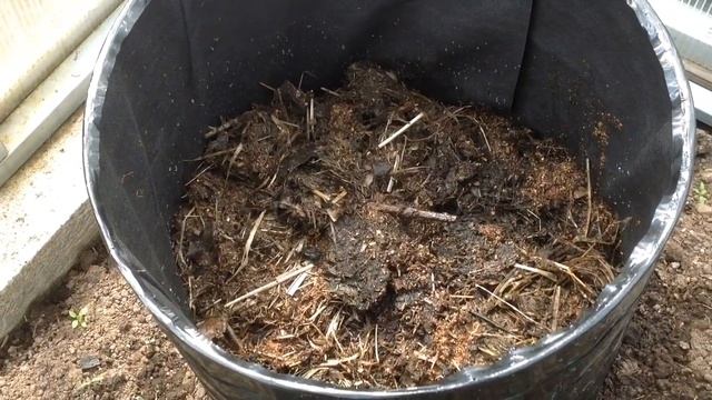 Ранние УРОЖАИ в ТЕПЛИЦАХ с помощью каркасных КАШПО и УКРЫТИЙ. Академия САДОВОДА-МЕШОЧНИКА. Встреча2 смотреть онлайн