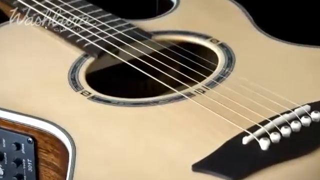 Washburn USM смотреть онлайн