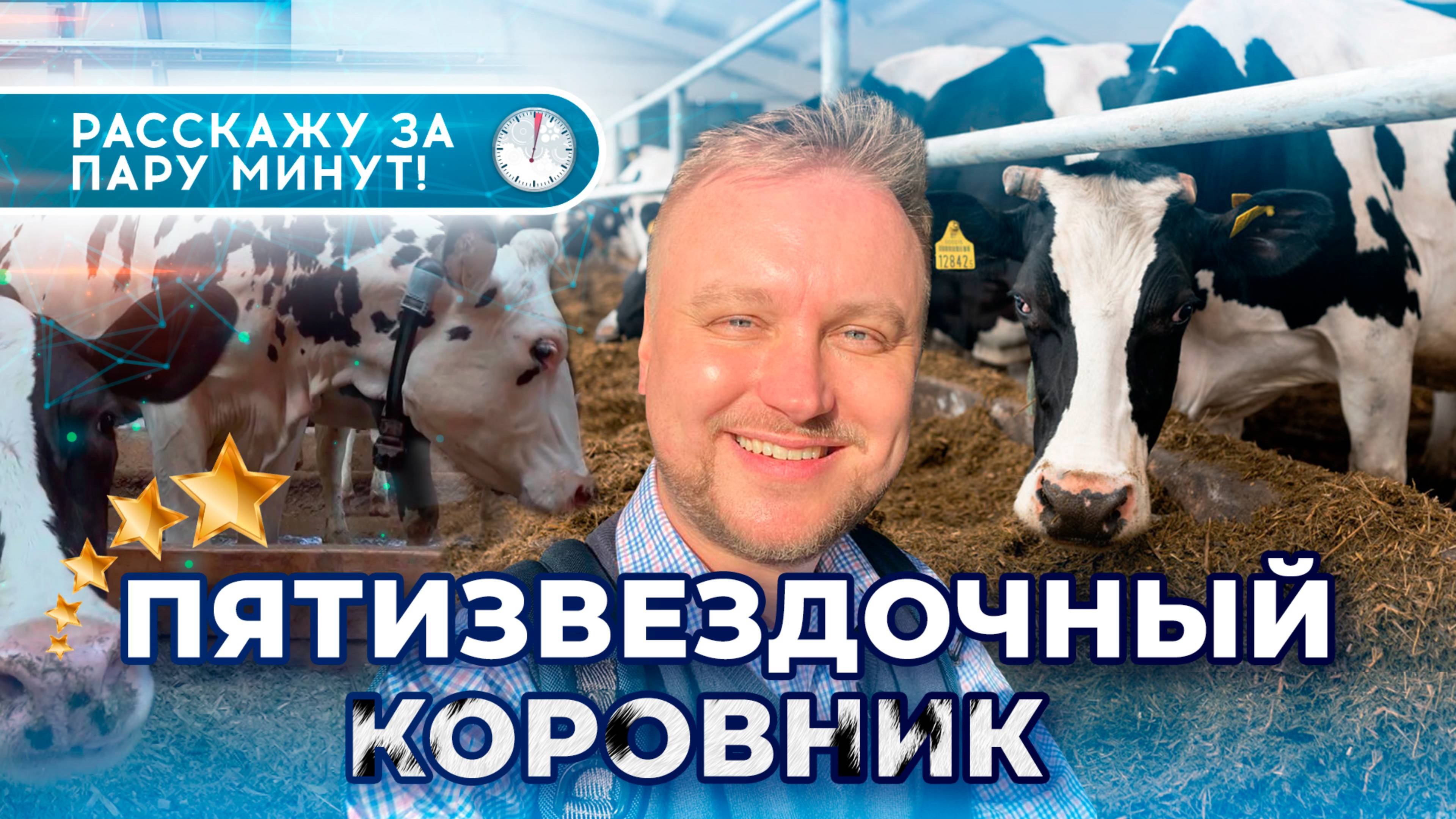 Органическая еда в России 🐄  реально хорошая?