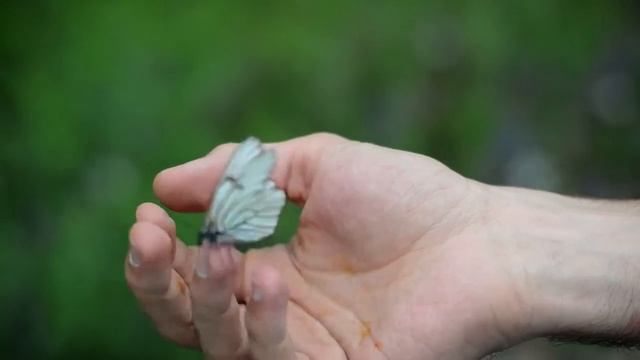 Я положил к твоей постели... смотреть онлайн