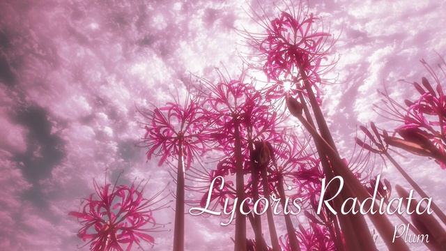 슬픈 기억을 흩날리는 선율에 담아 / Lycoris Radiata by Plum 【Artcore】 смотреть онлайн