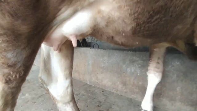 +998943845120 ТЕЛЕГРАМИ БОР  ЗУЛАРИДАН КЕЛДИ ШОШЛИГ ДУСЛАР БИЗДА БУГУН КАТА АКСЙА????