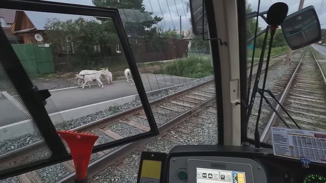 2.3 / День 14 / Смена обстановки смотреть онлайн