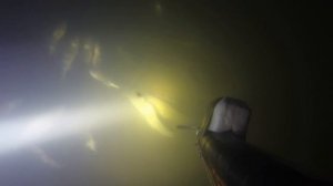 Подводная охота в Новосибирске на Оби