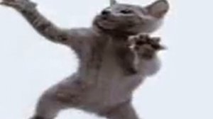 коты танцуют смешно!