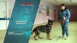 Профессия кинолога