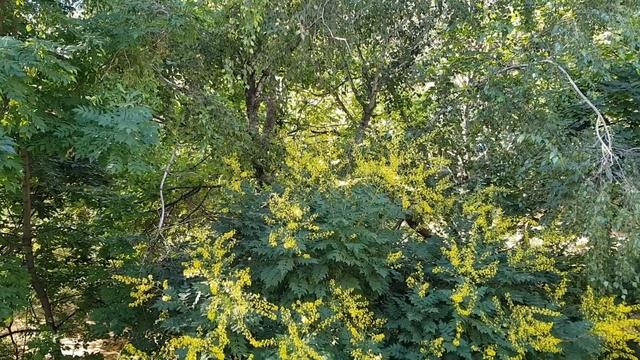 Анапа, улица Горького 68, 23 июня 2019 в 9:03:33 смотреть онлайн