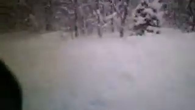 FIRST TRIP IN THE BUSH SENEY 09 смотреть онлайн