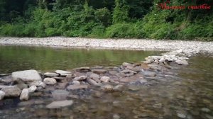 Звуки природы, пение птиц, журчанье реки, релакс 3часа/ Sounds of nature, birdsong, the river, rela