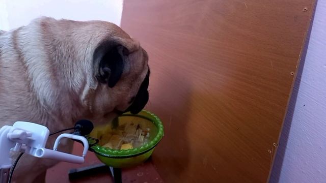 АСМР МУКБАНК ОТ РОББИКА смотреть онлайн