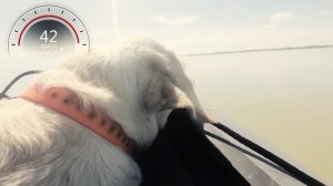 Лодка Апачи 3500 НДНД+ Hidea 18 Тест на воде.2 чел+БольШая Собака