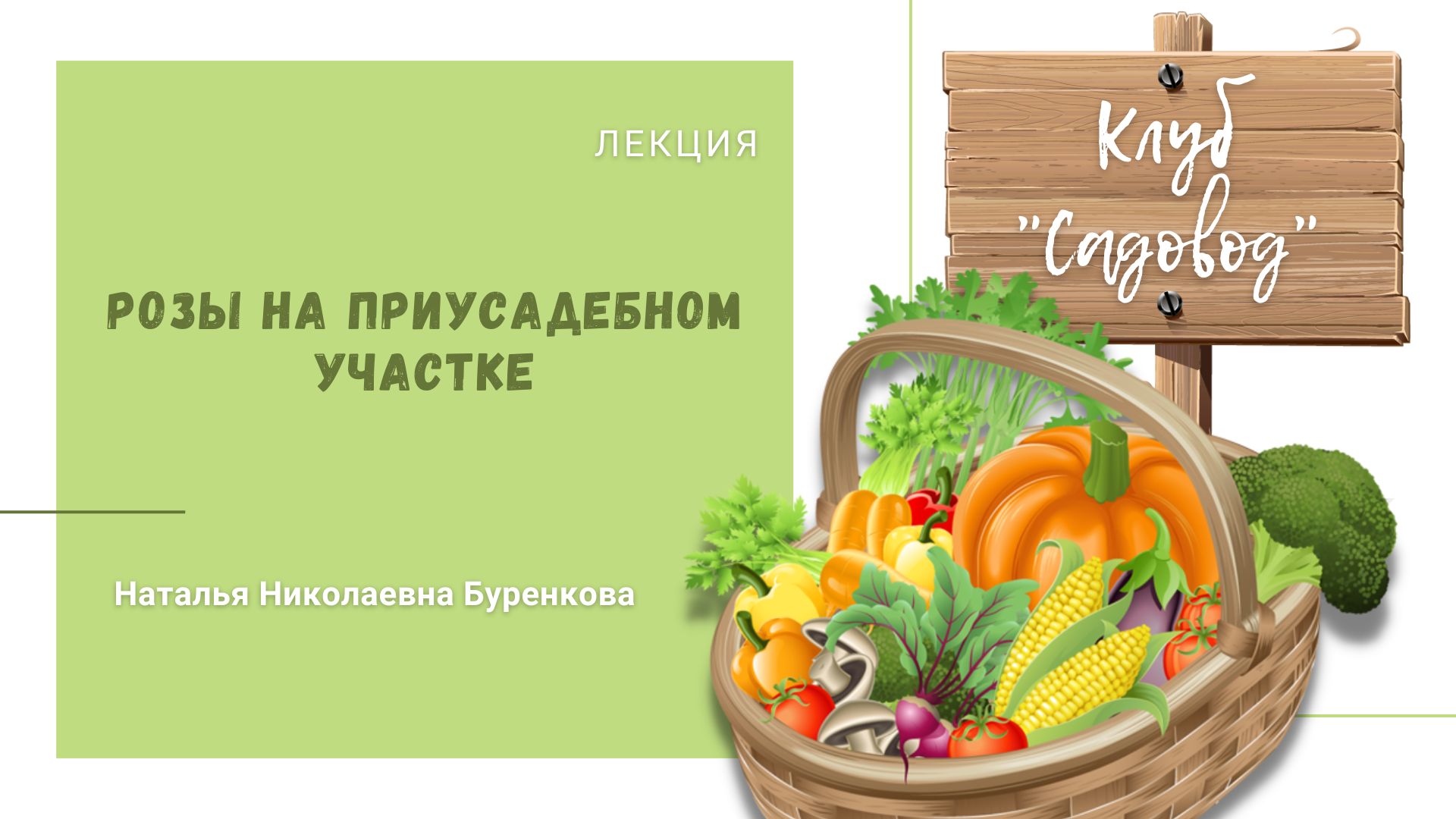 Лекция «Розы на приусадебном участке» Натальи Николаевны Буренковой