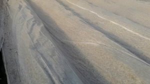 Спасёт ли вас второй слой плёнки от заморозка или ускорит вегетацию Клубники?!!!!