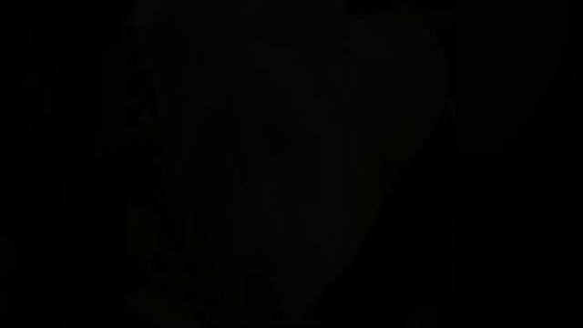 Просто Енот, Год Тюльпана 1004, Романтика, На крыльях любви, Куда приводят мечты, СИД смотреть онлайн