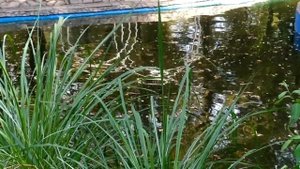 Крылья бабочки 1 - 4 серии | Мелодрама 2021