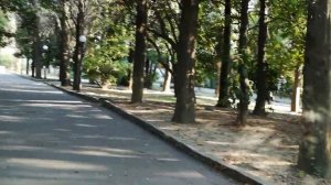 Сочи Хоста Дорога от отеля София до ЖД вокзала