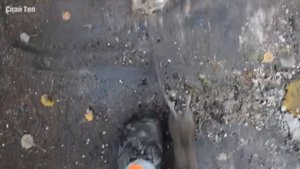 Малыши в Деле! Маленькие и очень свирепые хищники.