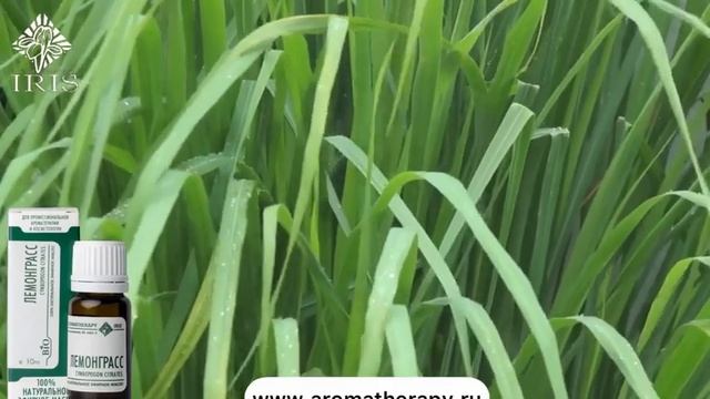 Натуральное эфирное масло Лемонграсс Ирис