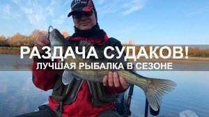 ЛУЧШАЯ РЫБАЛКА в сезоне!Попали на раздачу СУДАКА, и ЩУКУ не забыли  Рыбалка 2020. Осень, октябрь.