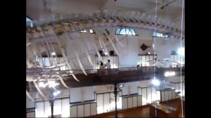 Музей океанографии в Монако. 2018 г.