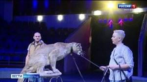 Волгоградский цирк возобновляет работу новогодним представлением