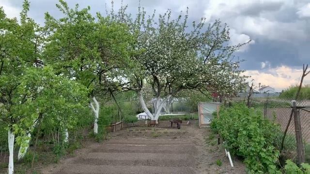 Всем привет! ОБЗОР УЧАСТКА! Что сделали? Появился КРОТ! смотреть онлайн