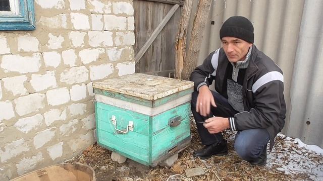 Электро обогрев пчёл/Подогрев ульев/Обогрев пчел весной смотреть онлайн