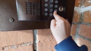 Домофон Eltis DP-300-TM