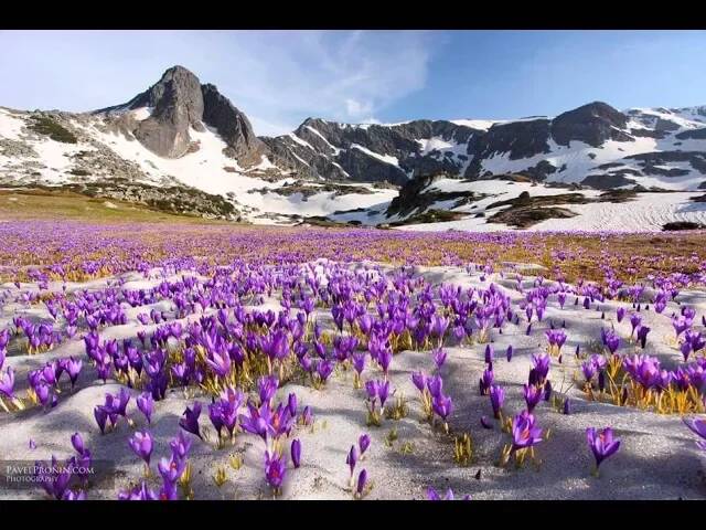 Овчарченский водопад ► Дневник путешествия в Болгарию