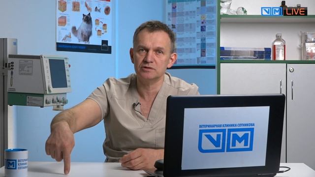 Ответы на вопросы как лечить смотреть онлайн