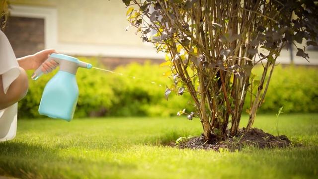 Рекламный ролик опрыскивателя Флорика смотреть онлайн