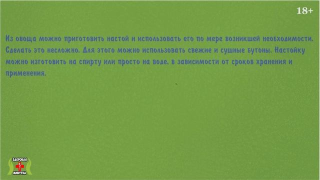 Артишок - царский деликатес, или целебное средство?  Артишок польза и вред, лечебные свойства