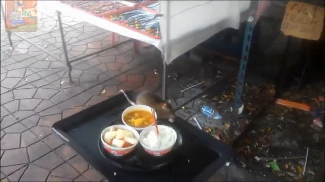 Наглая крыса стащила обед... смотреть онлайн