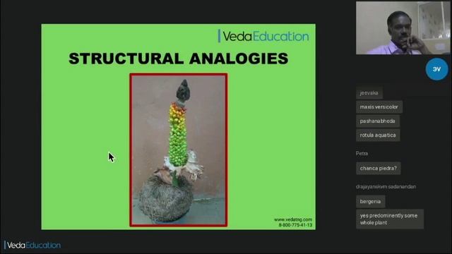Теория подобия: как определить аюрведические свойства растений, не описанных в первоисточниках?