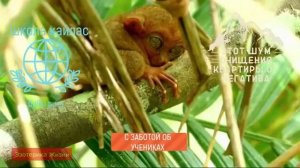 Шум очищения квартиры