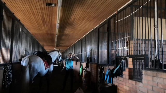 VLOG: СОЗИДАТЕЛЬ, 07.09.2019 смотреть онлайн