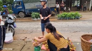 Harvesting Litchi Fruit Garden goes to the market sell - Animal Care | Ly Thi Lang