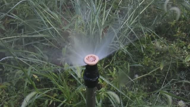 Разбрызгиватель для воды с резьбой пол  дюйма