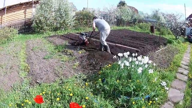 Посадка картофеля смотреть онлайн