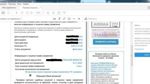 Лукавый статус о лишении водительских прав, на сайте ГИБДД...