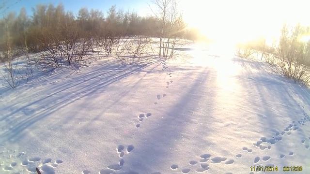 охота на зайца с применением спец средств!удачно!спортивно!а hunting hareглавное результативно! смотреть онлайн