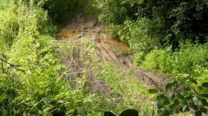 Проверка на проходимость "ВИС ВАЗ-23461" нива VIC 23461. Тест по бездорожью с мини нагрузкой.