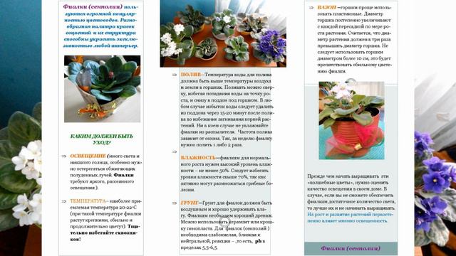 Видеоинструкция по уходу за фиалками
