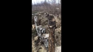 Капсульный отель Гуляй Город / Глэмпинг