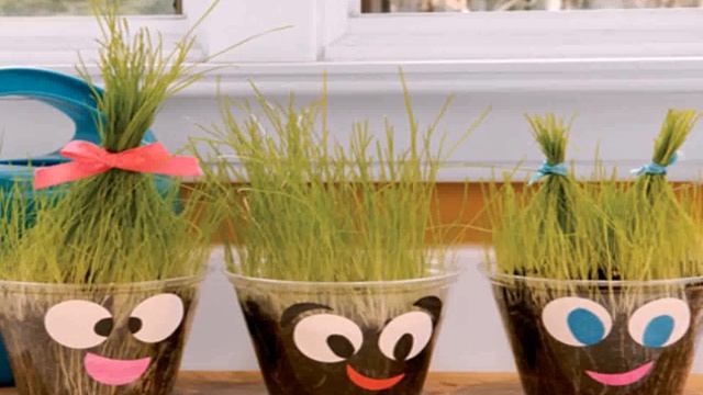 поделки из природного материала своими руками из ракушек смотреть онлайн